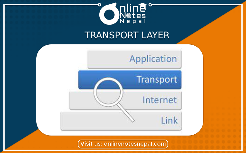 Transport Layer Photo